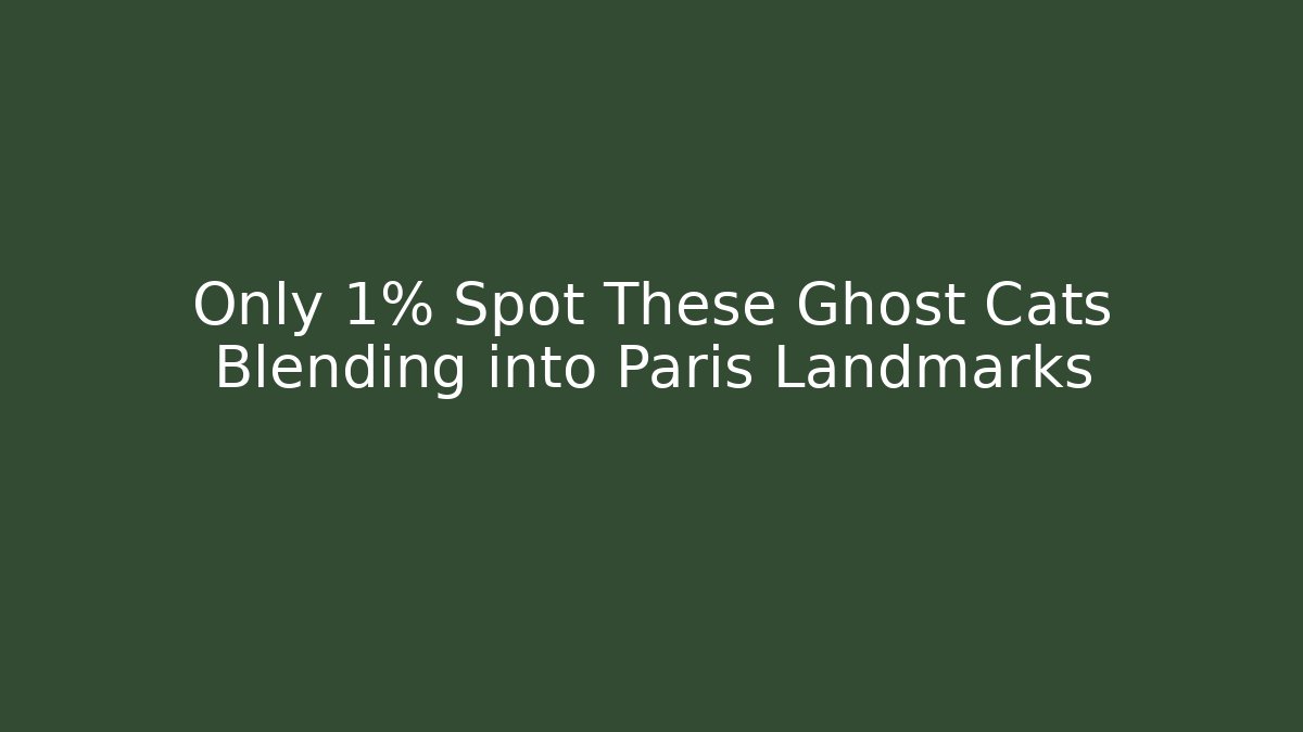 Only 1% Spot These Ghost Cats Blending into Paris Landmarks