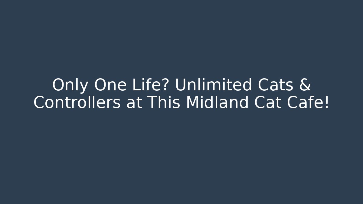 Only One Life? Unlimited Cats & Controllers at This Midland Cat Cafe!