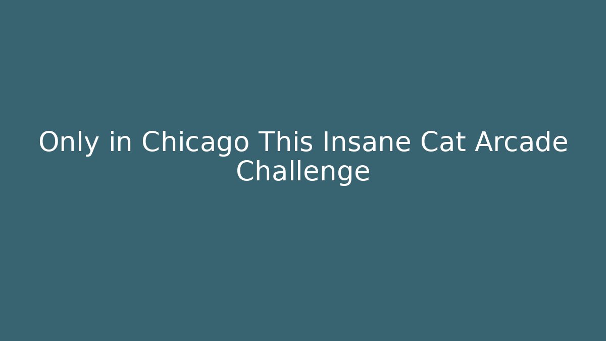 Only in Chicago This Insane Cat Arcade Challenge