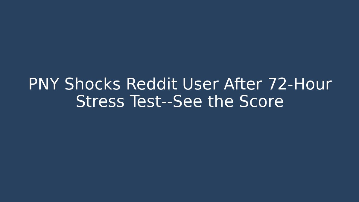 PNY Shocks Reddit User After 72-Hour Stress Test—See the Score