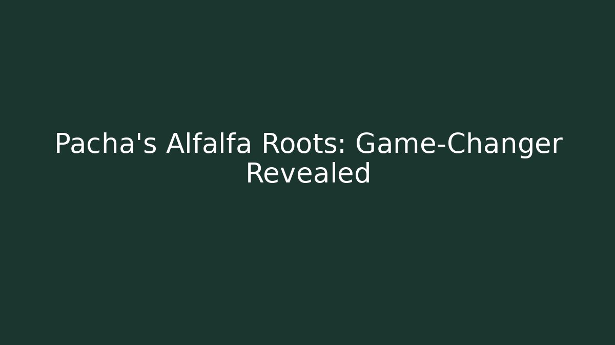 Pacha's Alfalfa Roots: Game-Changer Revealed