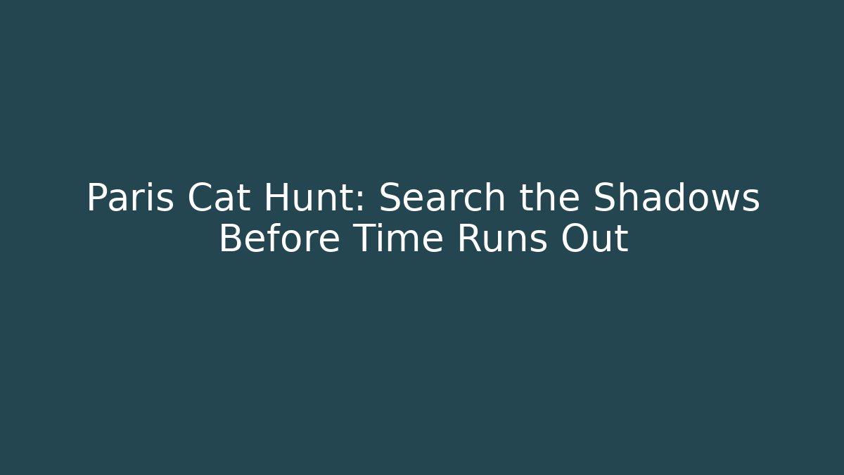 Paris Cat Hunt: Search the Shadows Before Time Runs Out