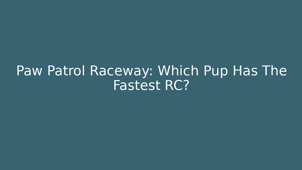 Paw Patrol Raceway: Which Pup Has The Fastest RC?