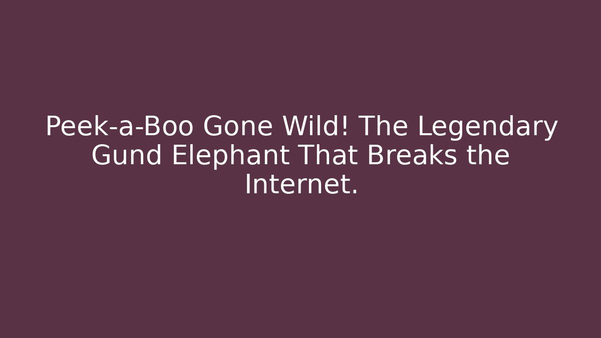 Peek-a-Boo Gone Wild! The Legendary Gund Elephant That Breaks the Internet.