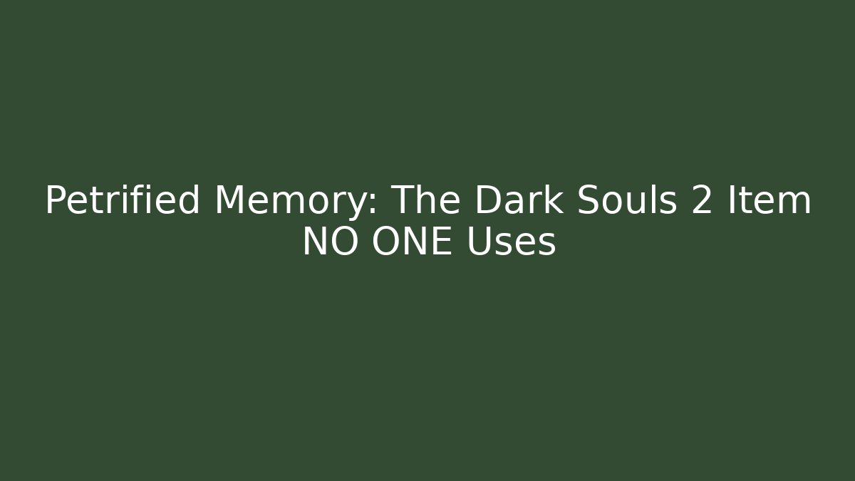 Petrified Memory: The Dark Souls 2 Item NO ONE Uses