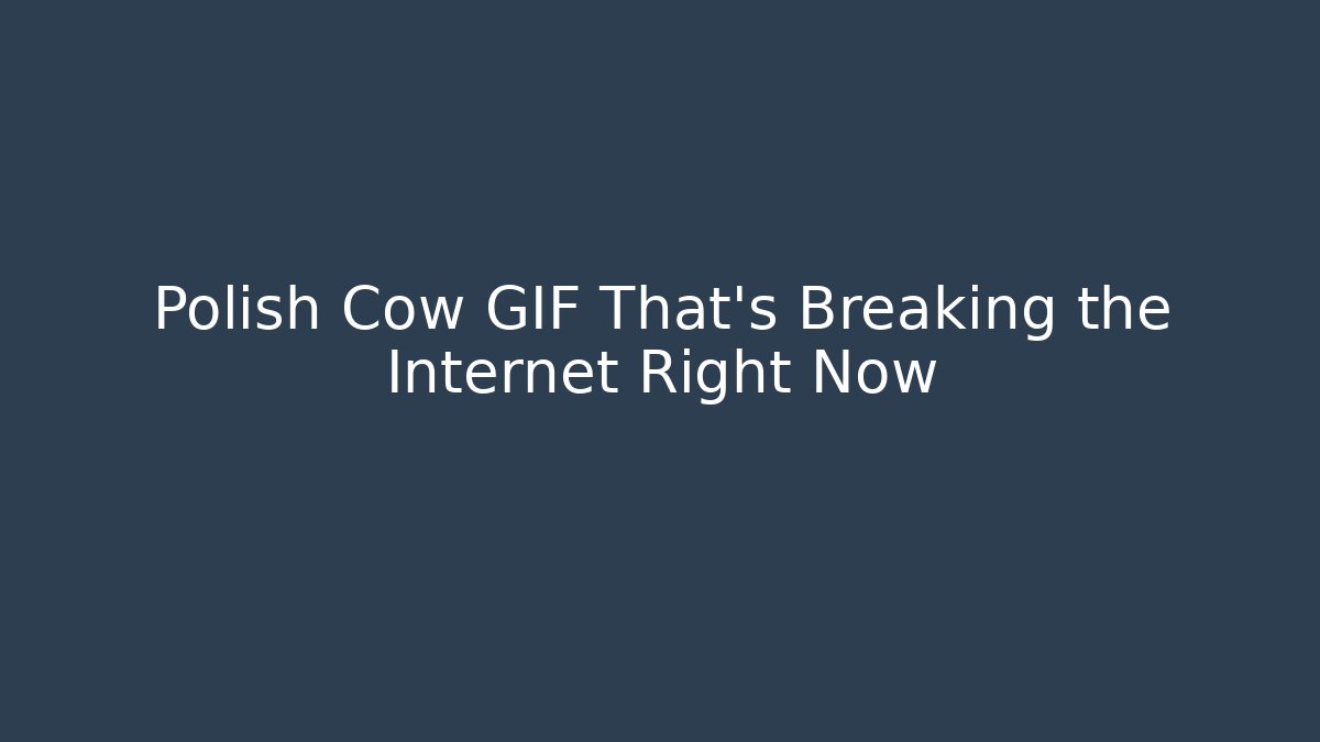 Polish Cow GIF That's Breaking the Internet Right Now
