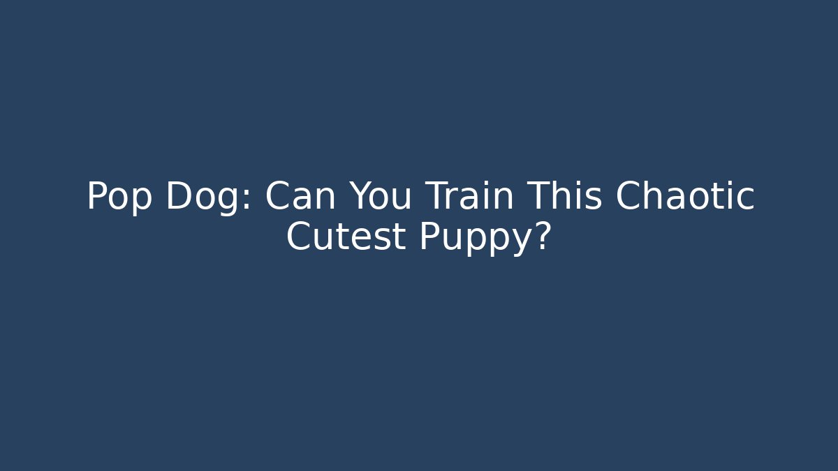 Pop Dog: Can You Train This Chaotic Cutest Puppy?