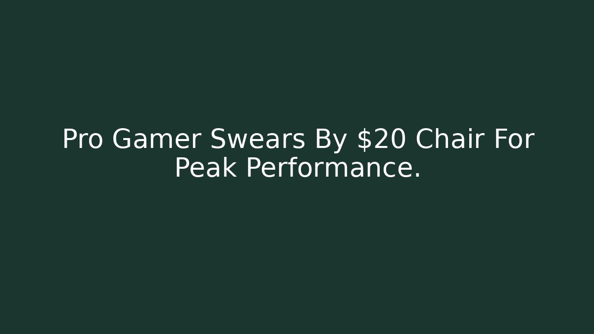 Pro Gamer Swears By $20 Chair For Peak Performance.