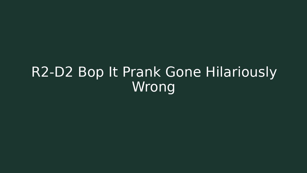R2-D2 Bop It Prank Gone Hilariously Wrong