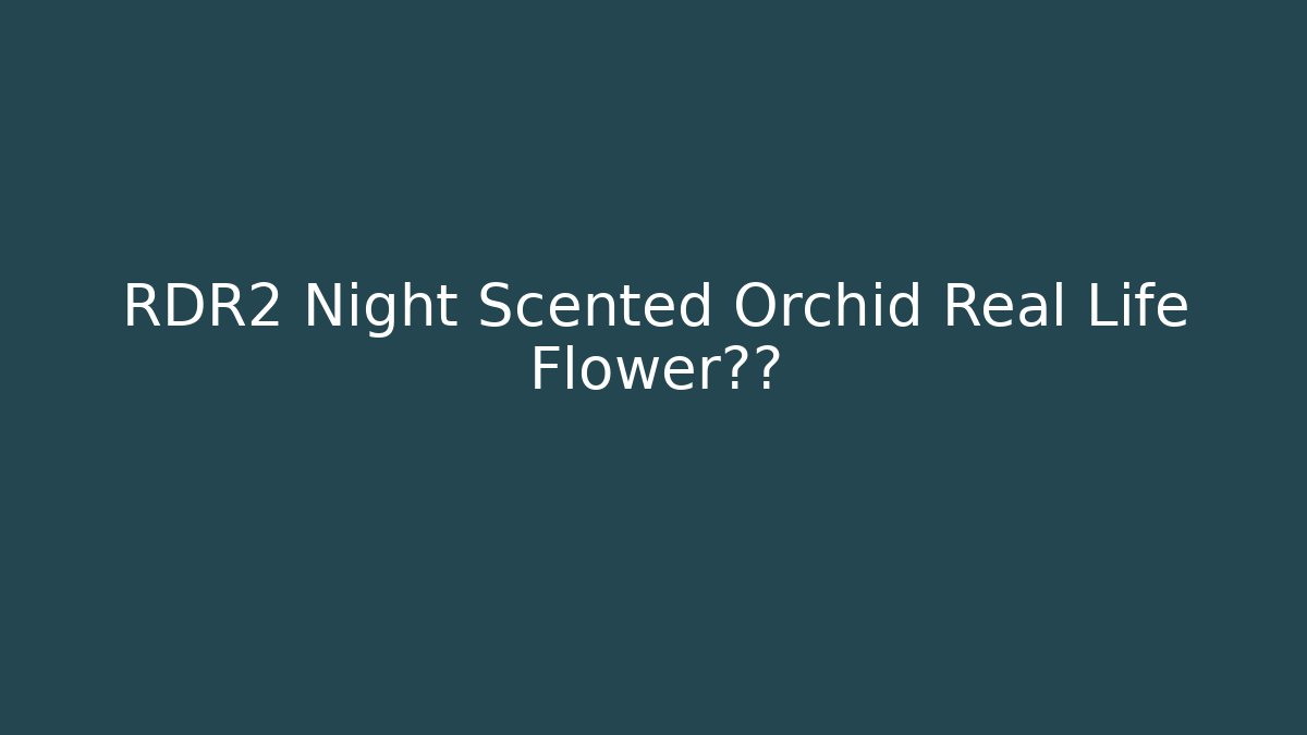 RDR2 Night Scented Orchid Real Life Flower真相