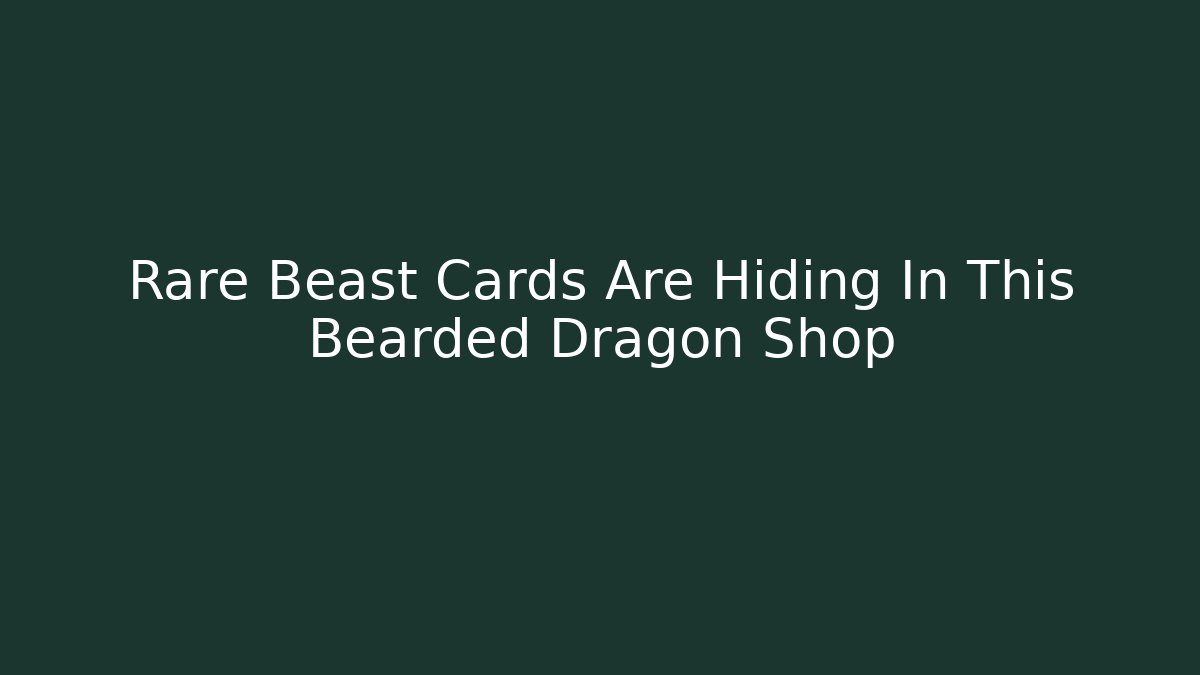 Rare Beast Cards Are Hiding In This Bearded Dragon Shop