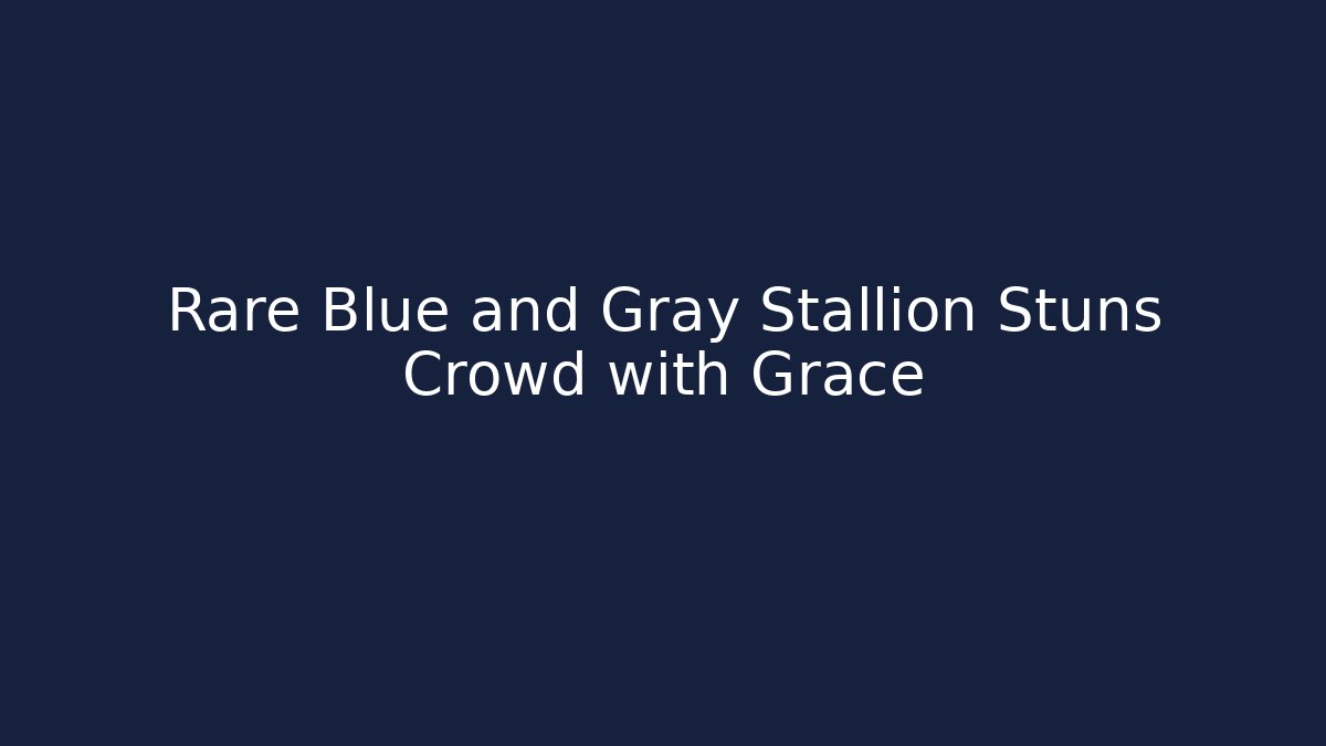 Rare Blue and Gray Stallion Stuns Crowd with Grace