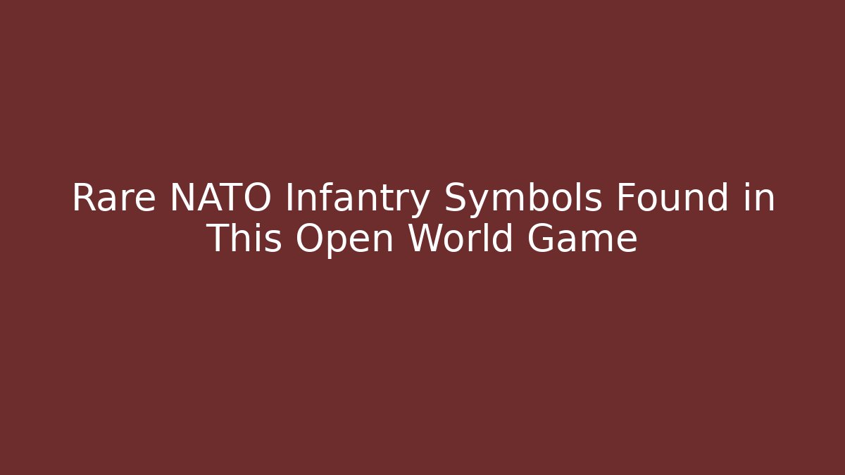 Rare NATO Infantry Symbols Found in This Open World Game
