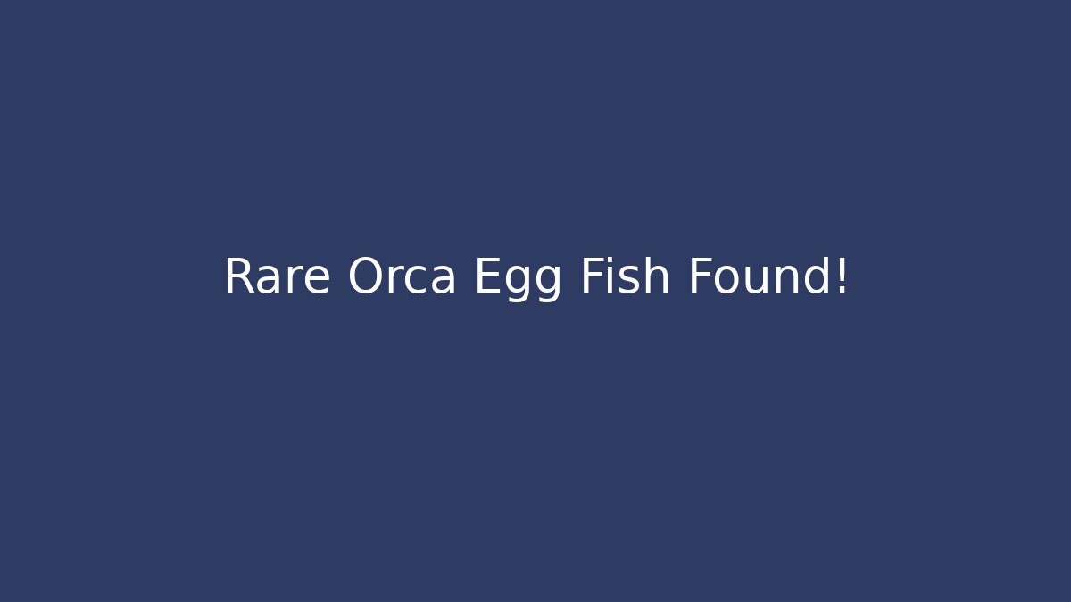 Rare Orca Egg Fish Found! - Critter Realm