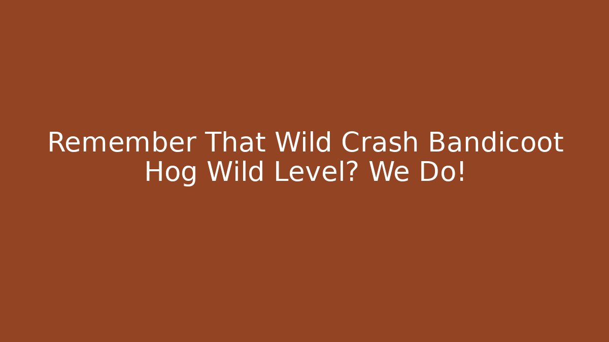 Remember That Wild Crash Bandicoot Hog Wild Level? We Do!
