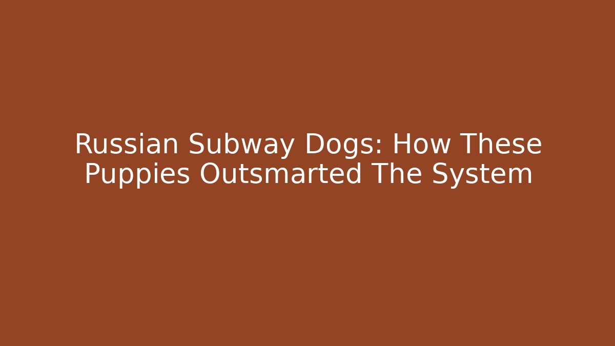 Russian Subway Dogs: How These Puppies Outsmarted The System