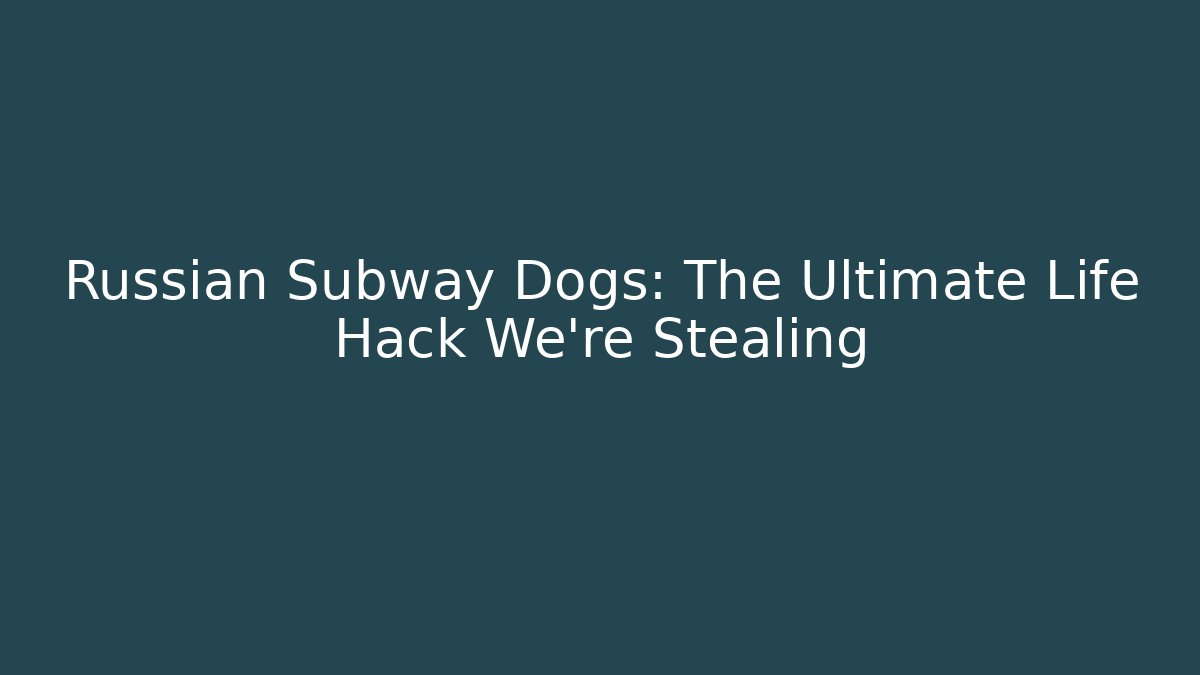Russian Subway Dogs: The Ultimate Life Hack We're Stealing