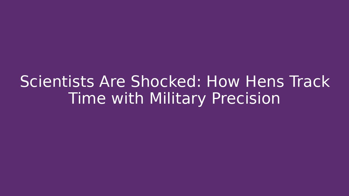Scientists Are Shocked: How Hens Track Time with Military Precision