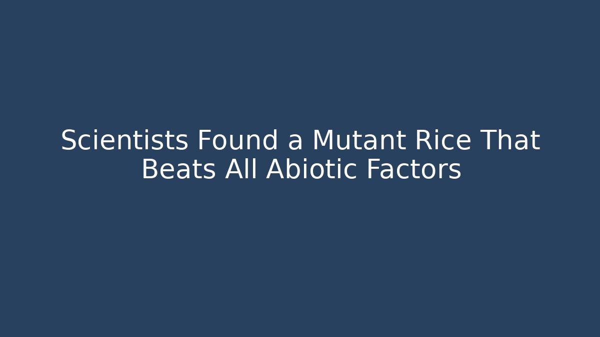 Scientists Found a Mutant Rice That Beats All Abiotic Factors