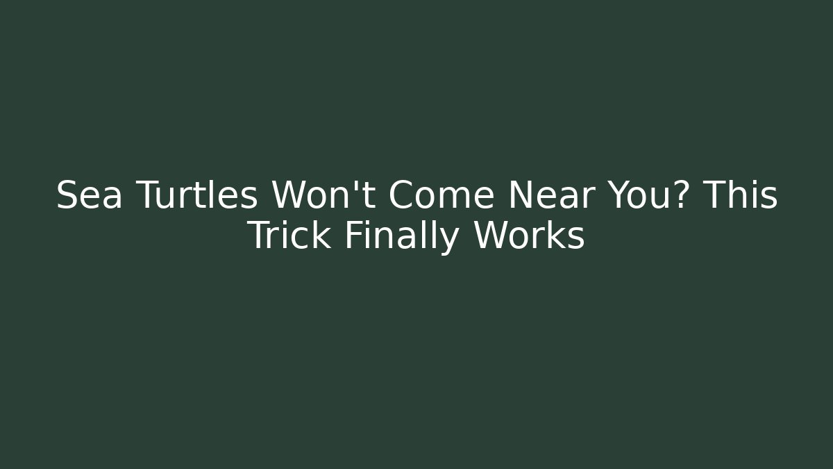 Sea Turtles Won't Come Near You? This Trick Finally Works