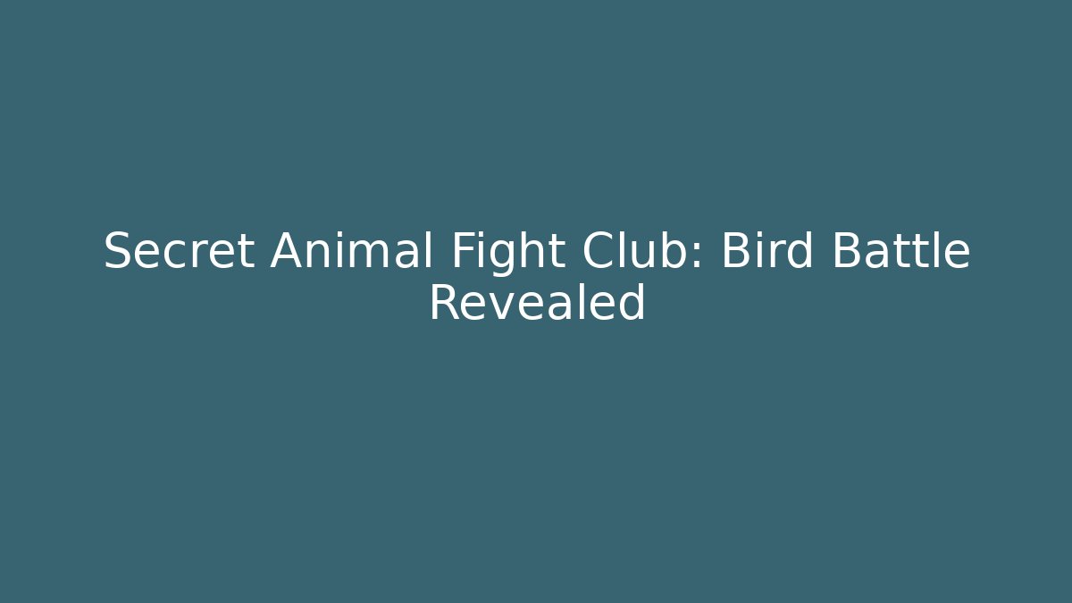 Secret Animal Fight Club: Bird Battle Revealed