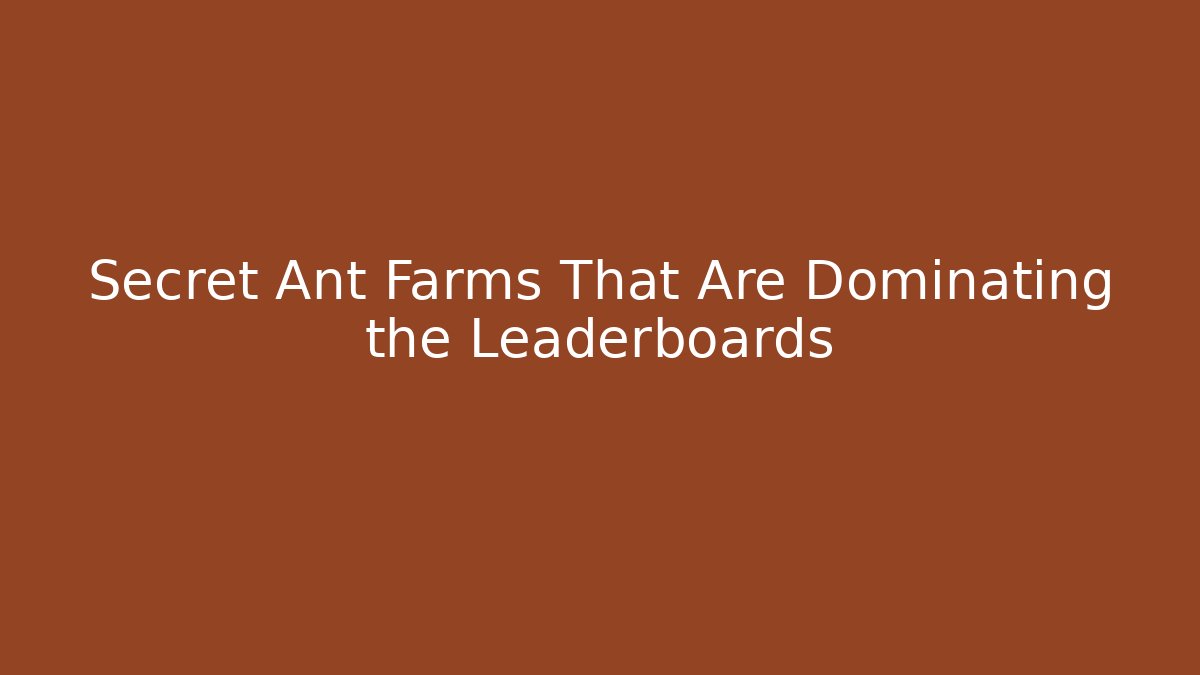 Secret Ant Farms That Are Dominating the Leaderboards