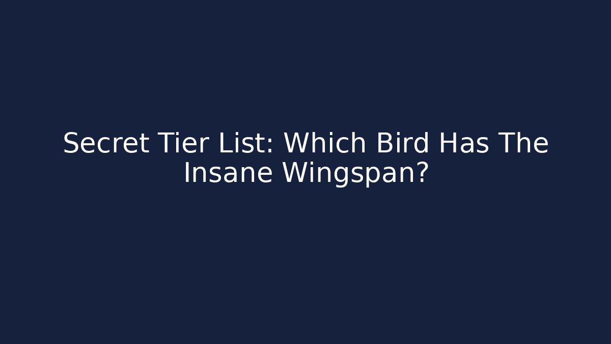 Secret Tier List: Which Bird Has The Insane Wingspan?