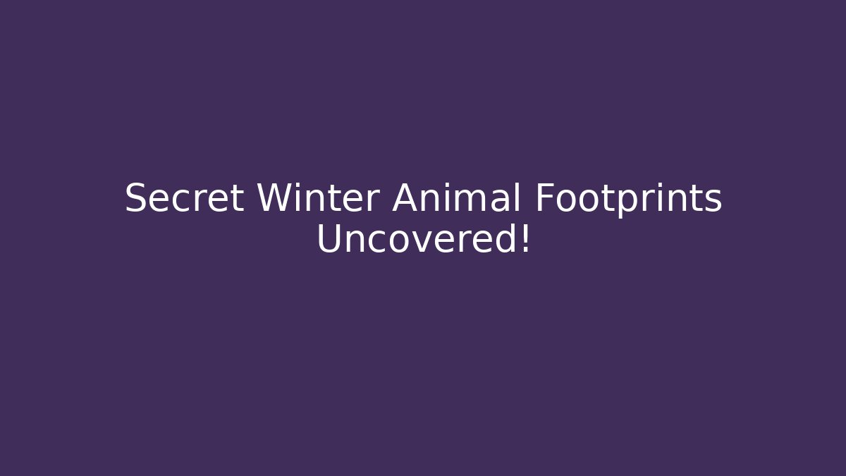 Secret Winter Animal Footprints Uncovered!