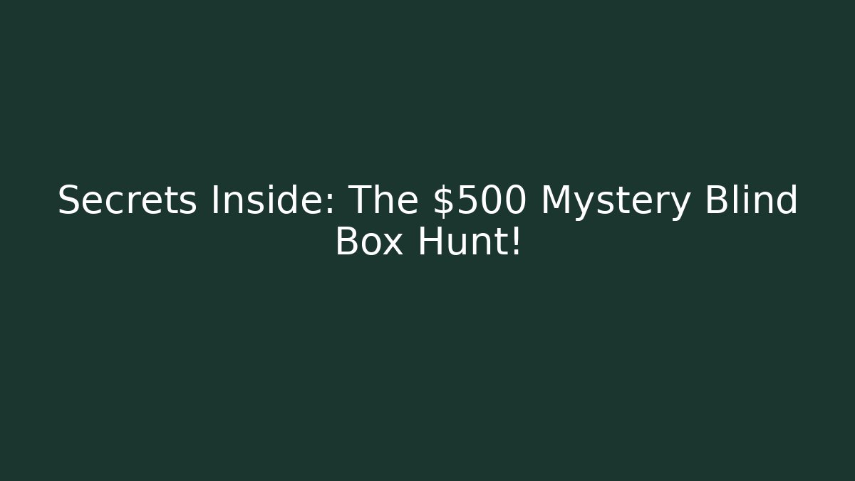Secrets Inside: The $500 Mystery Blind Box Hunt!