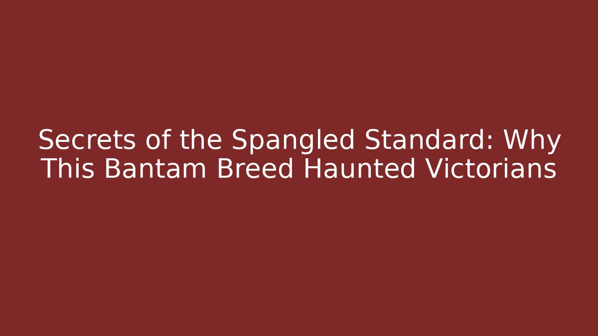 Secrets of the Spangled Standard: Why This Bantam Breed Haunted Victorians