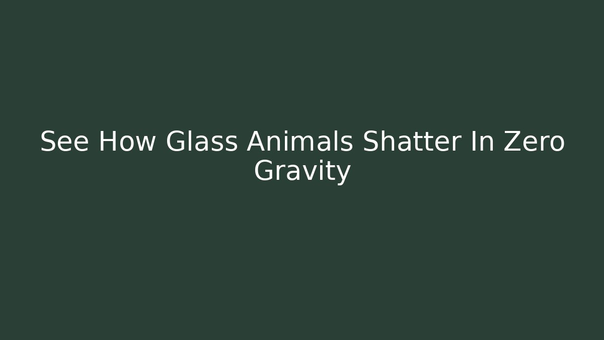 See How Glass Animals Shatter In Zero Gravity - Critter Realm