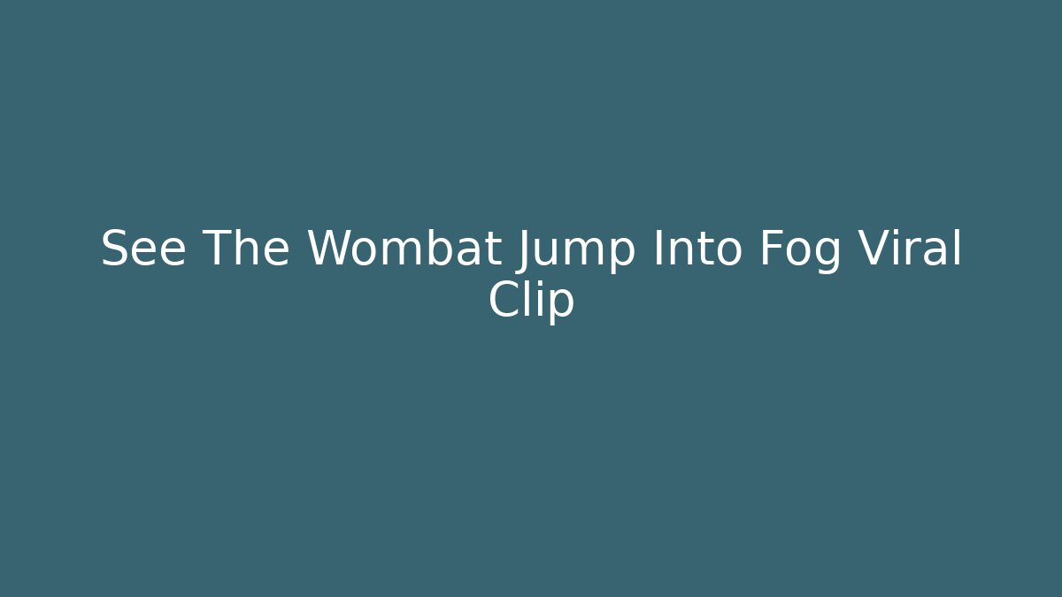 See The Wombat Jump Into Fog Viral Clip - Critter Realm