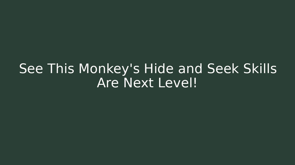See This Monkey's Hide and Seek Skills Are Next Level!
