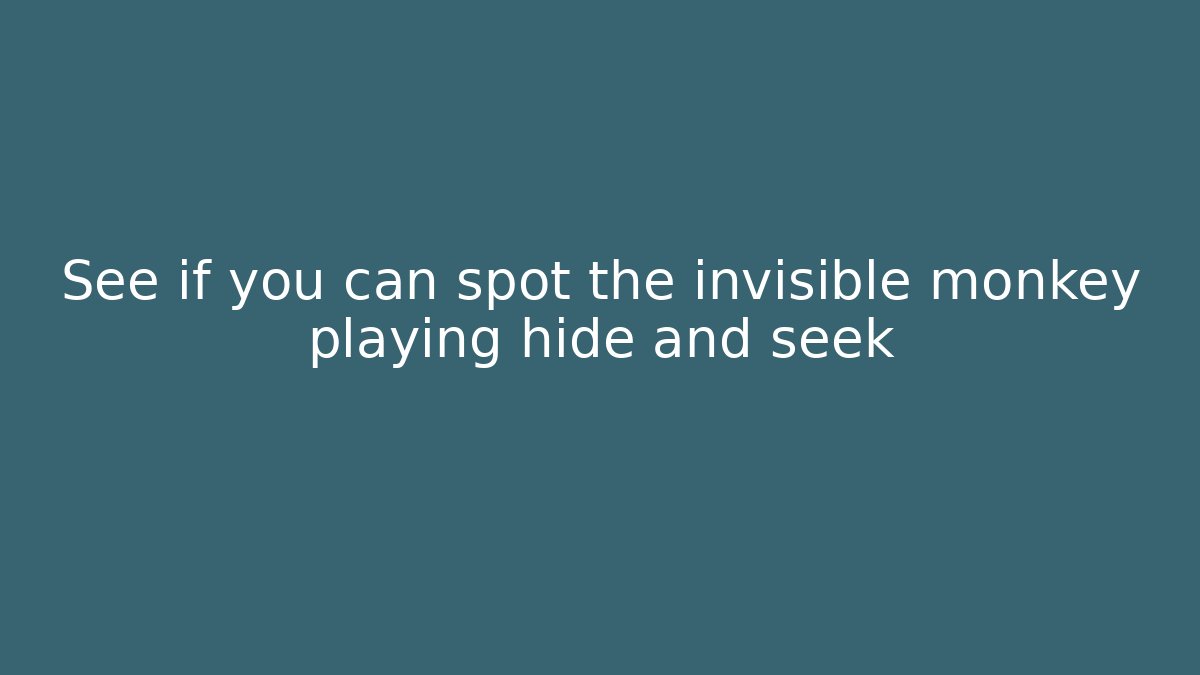 See if you can spot the invisible monkey playing hide and seek
