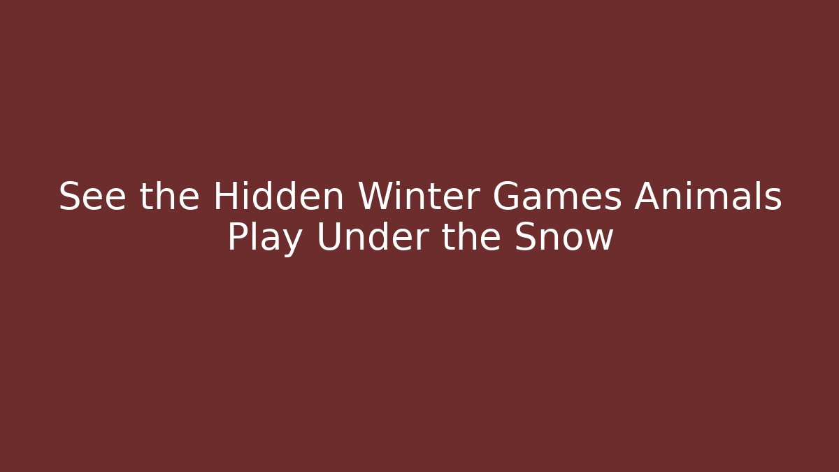 See the Hidden Winter Games Animals Play Under the Snow