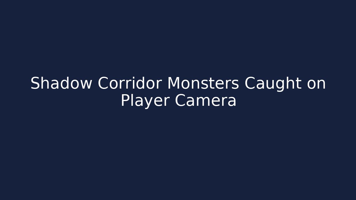 Shadow Corridor Monsters Caught on Player Camera