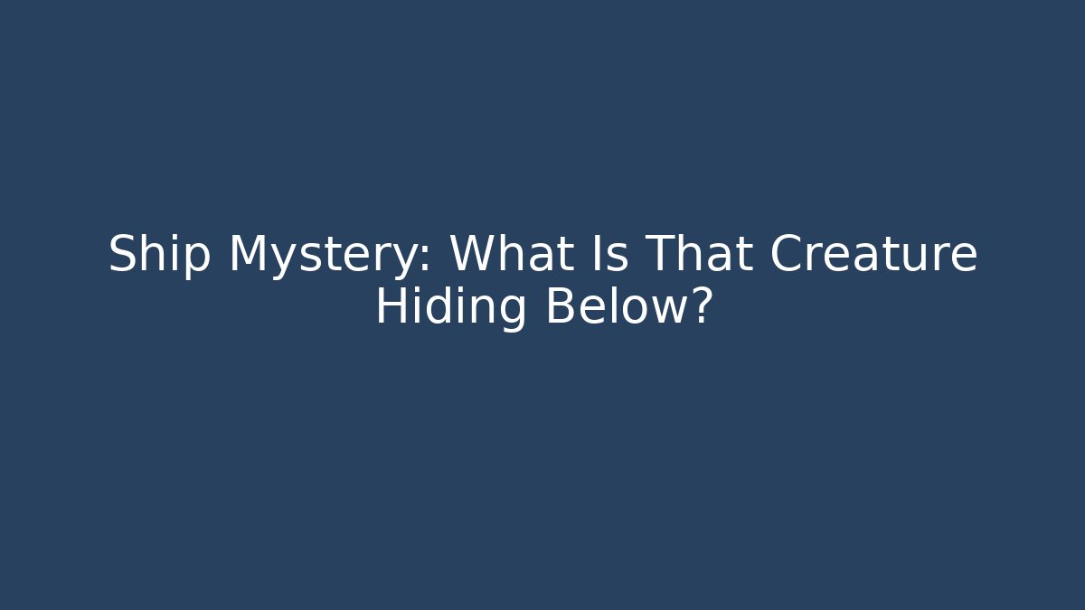 Ship Mystery: What Is That Creature Hiding Below?