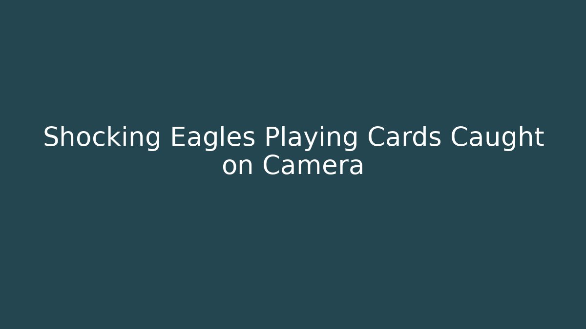 Shocking Eagles Playing Cards Caught on Camera - Critter Realm