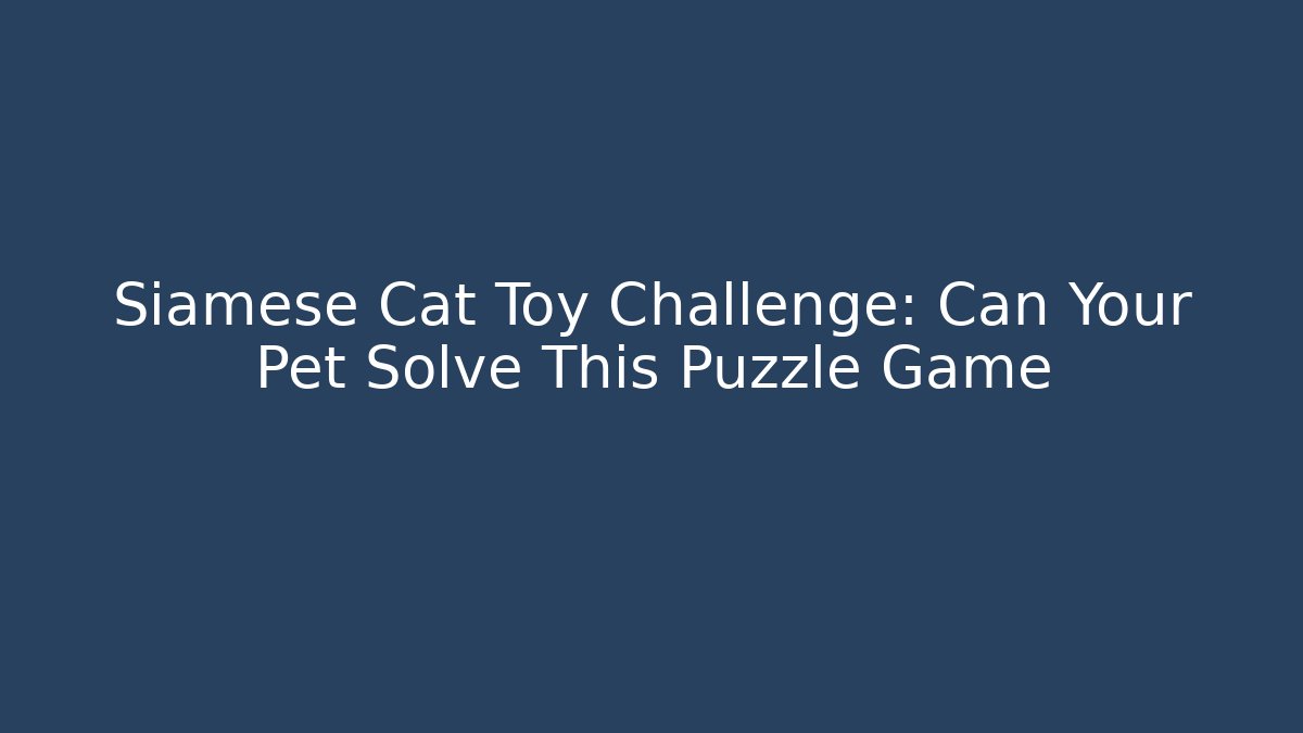 Siamese Cat Toy Challenge: Can Your Pet Solve This Puzzle Game