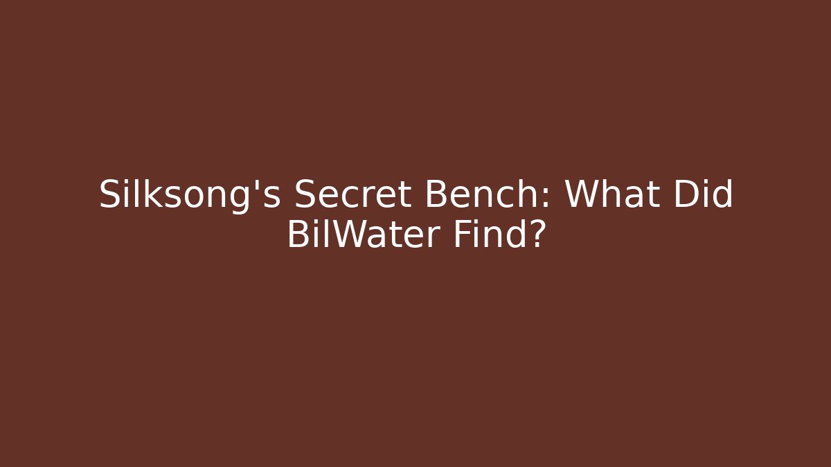 Silksong's Secret Bench: What Did BilWater Find?