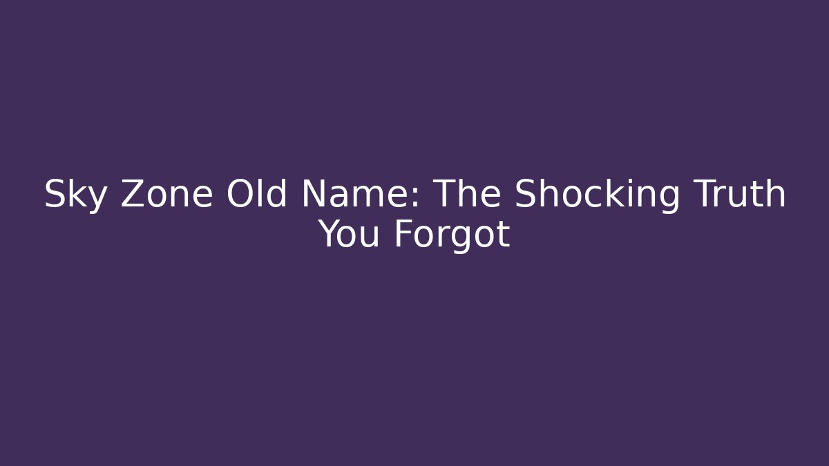 Sky Zone Old Name: The Shocking Truth You Forgot