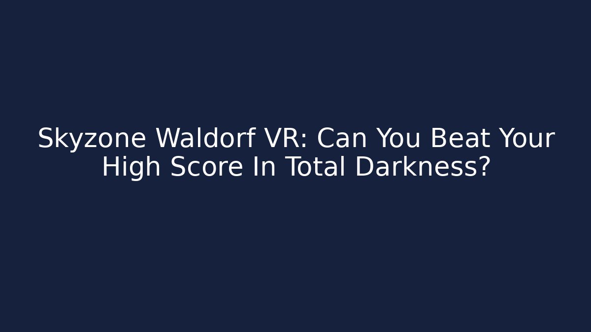 Skyzone Waldorf VR: Can You Beat Your High Score In Total Darkness?