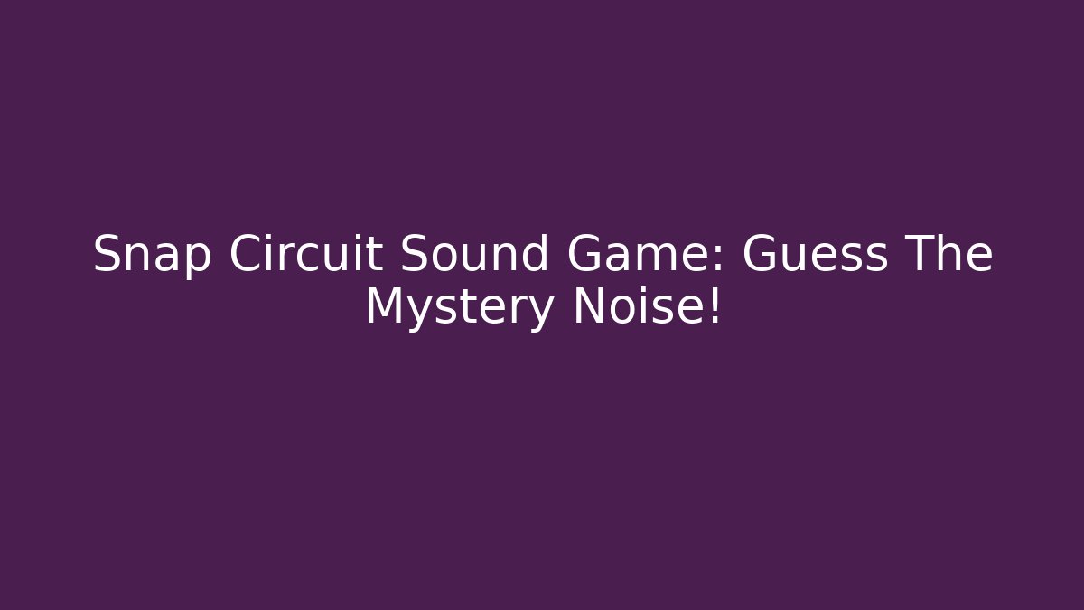 Snap Circuit Sound Game: Guess The Mystery Noise!