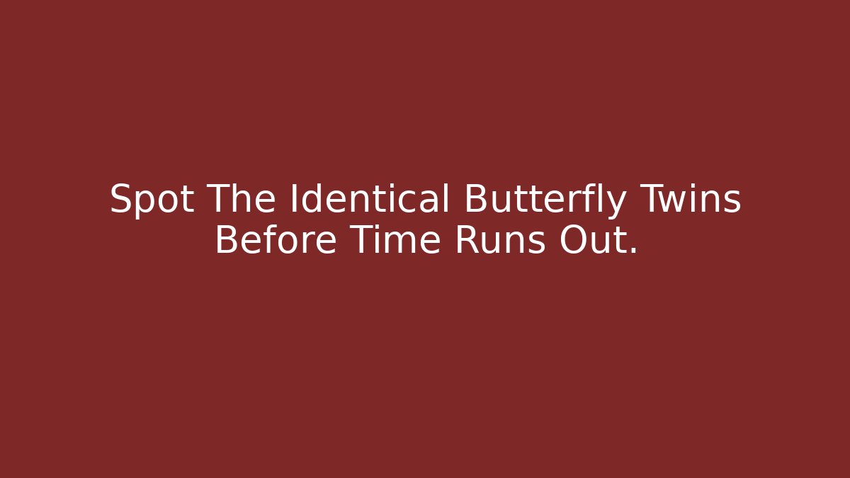 Spot The Identical Butterfly Twins Before Time Runs Out.