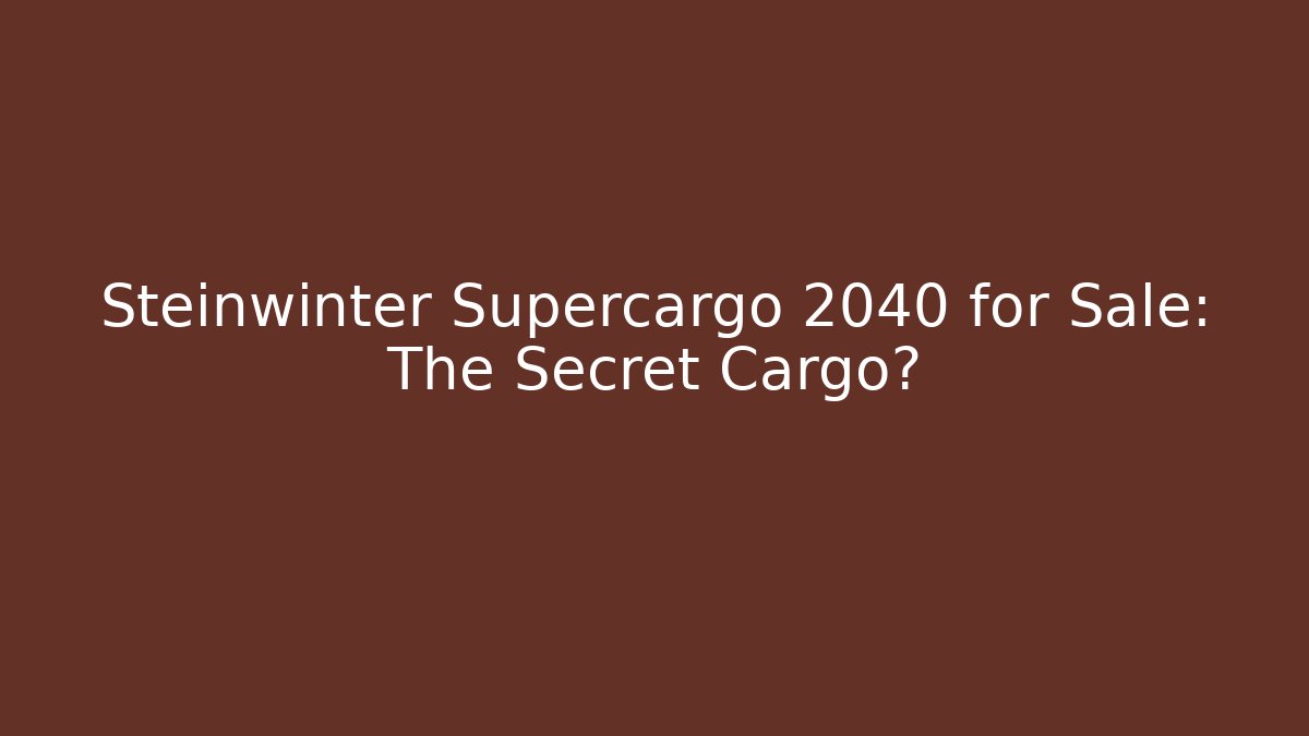 Steinwinter Supercargo 2040 for Sale: The Secret Cargo?