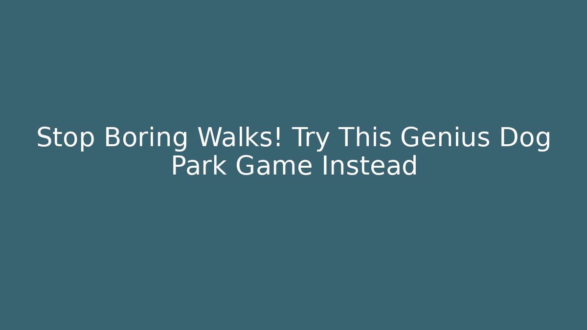Stop Boring Walks! Try This Genius Dog Park Game Instead