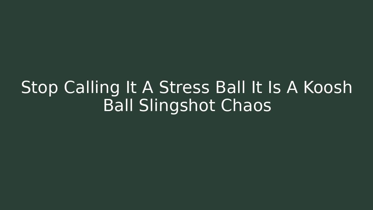 Stop Calling It A Stress Ball It Is A Koosh Ball Slingshot Chaos