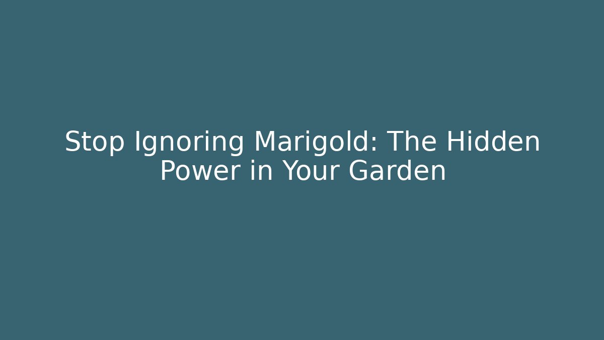 Stop Ignoring Marigold: The Hidden Power in Your Garden
