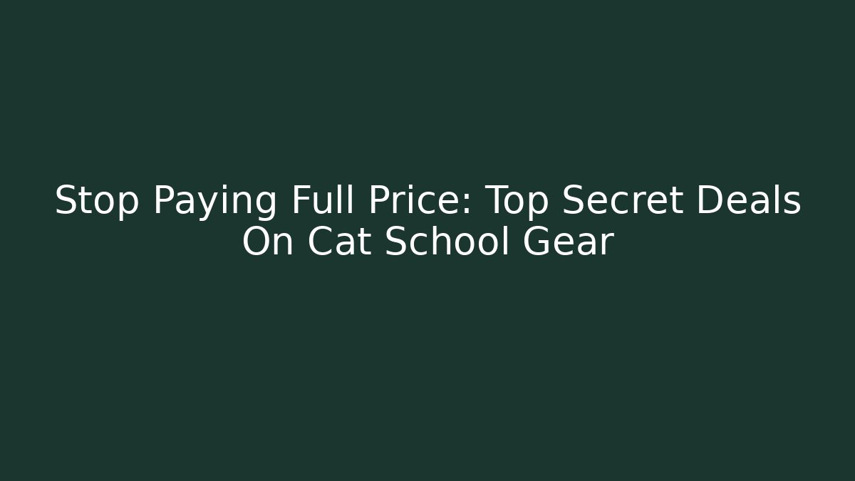 Stop Paying Full Price: Top Secret Deals On Cat School Gear