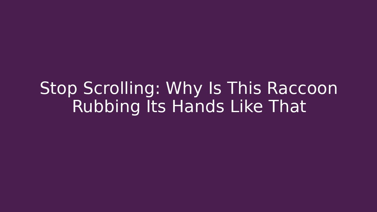 Stop Scrolling: Why Is This Raccoon Rubbing Its Hands Like That